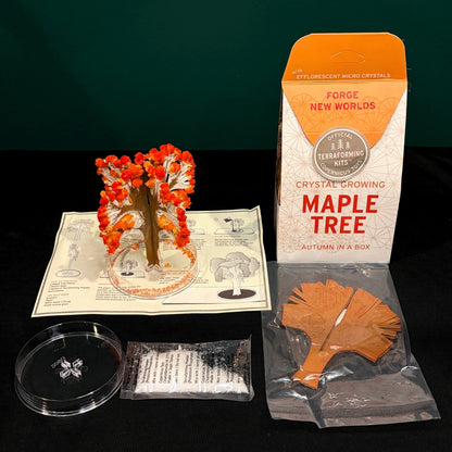 Flame-Colored Maple Tree - Crystal-Growing Kit