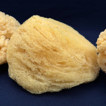 Natural Sea Sponge - Luxury Bath Accessory