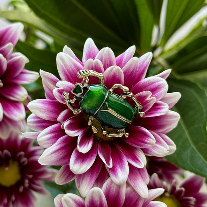 Glossy Beetle - Enameled Insect Brooch