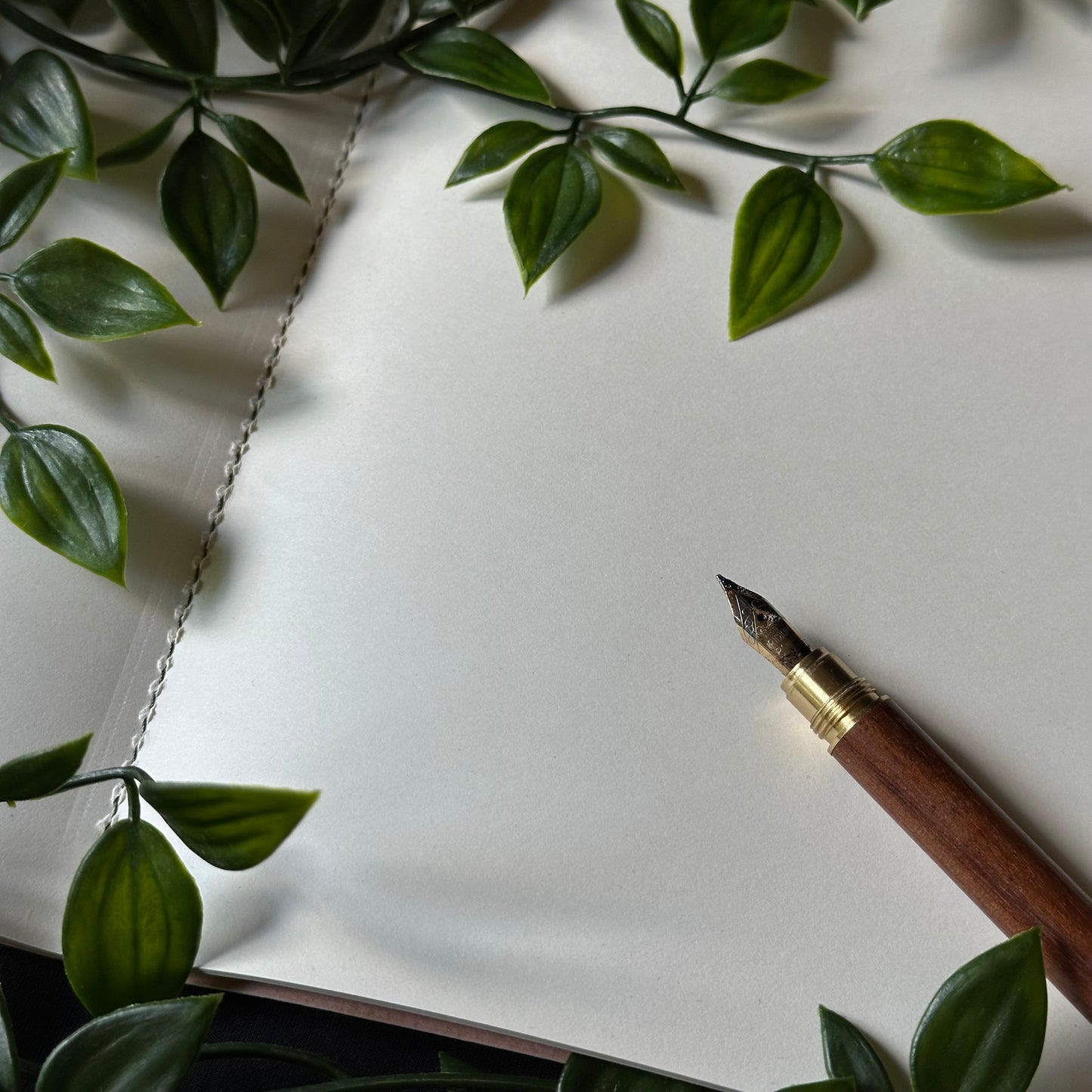 Notes from the Fern Grove - Notebooks with Mushrooms and Insects