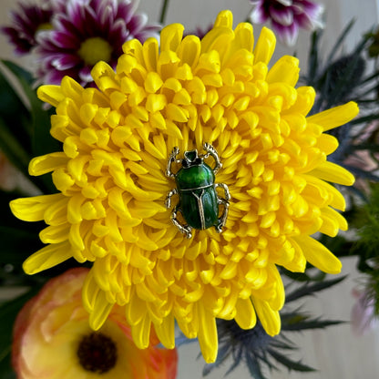 Glossy Beetle - Enameled Insect Brooch