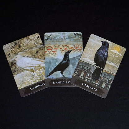 Urban Crow Oracle