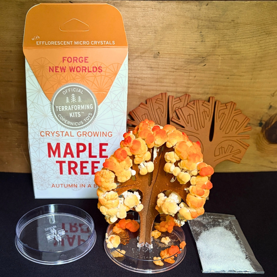 Flame-Colored Maple Tree - Crystal-Growing Kit