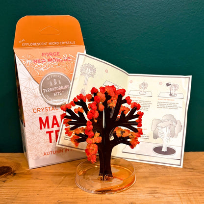 The Fall Festival - Limited Edition Box - Preorder