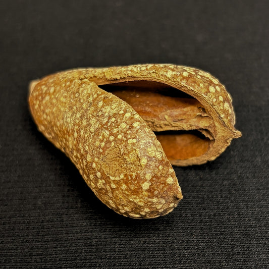 Secret-Keeper - Mokha Seedpod