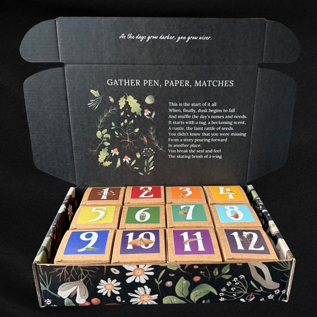 Whimsy Box - 2025 Advent Calendar Preorder