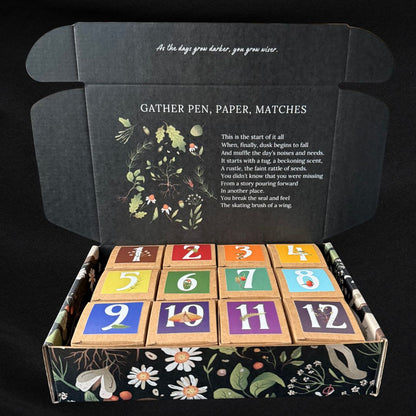 Whimsy Box - 2025 Advent Calendar Preorder