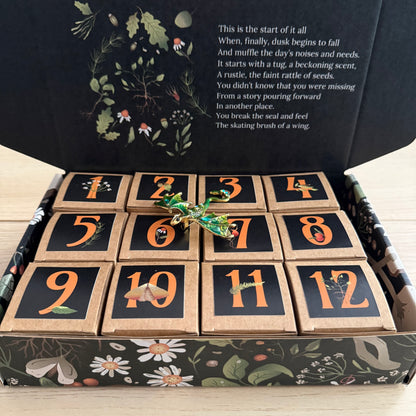 Reverie Box - 2025 Advent Calendar Preorder