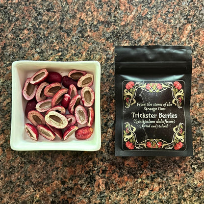 Trickster Berries - Dried Miracle Fruit