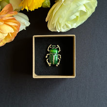 Load image into Gallery viewer, Glossy Beetle - Enameled Insect Brooch
