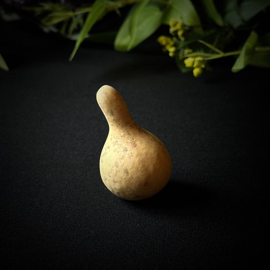 Childhood Artifact - Spinner Gourd