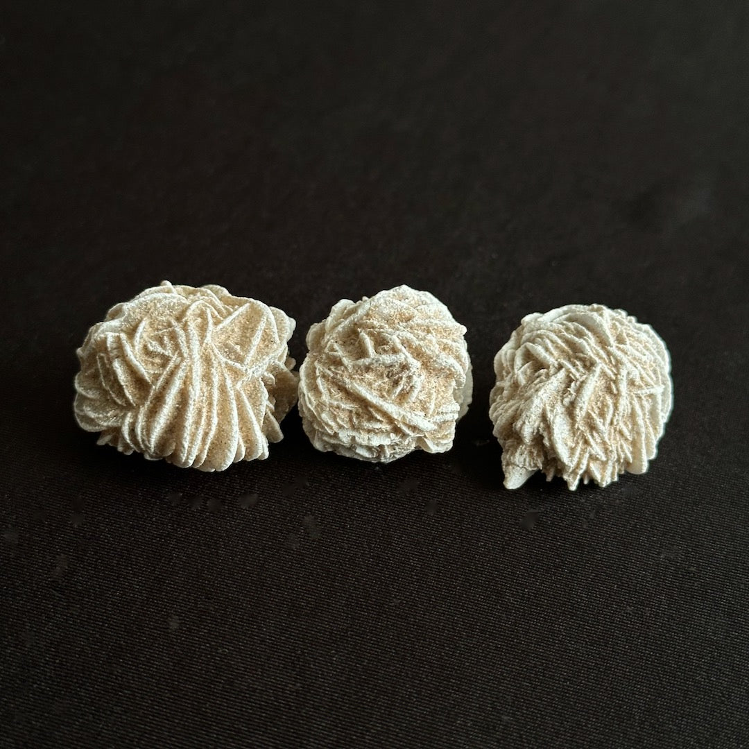 Desert Rose - Oddment