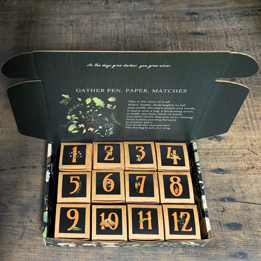Cozy Nights with the Mice - 2026 Collectible Dollhouse Miniature Advent Calendar - Preorder