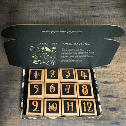 Cozy Nights with the Mice - 2026 Collectible Dollhouse Miniature Advent Calendar - Preorder