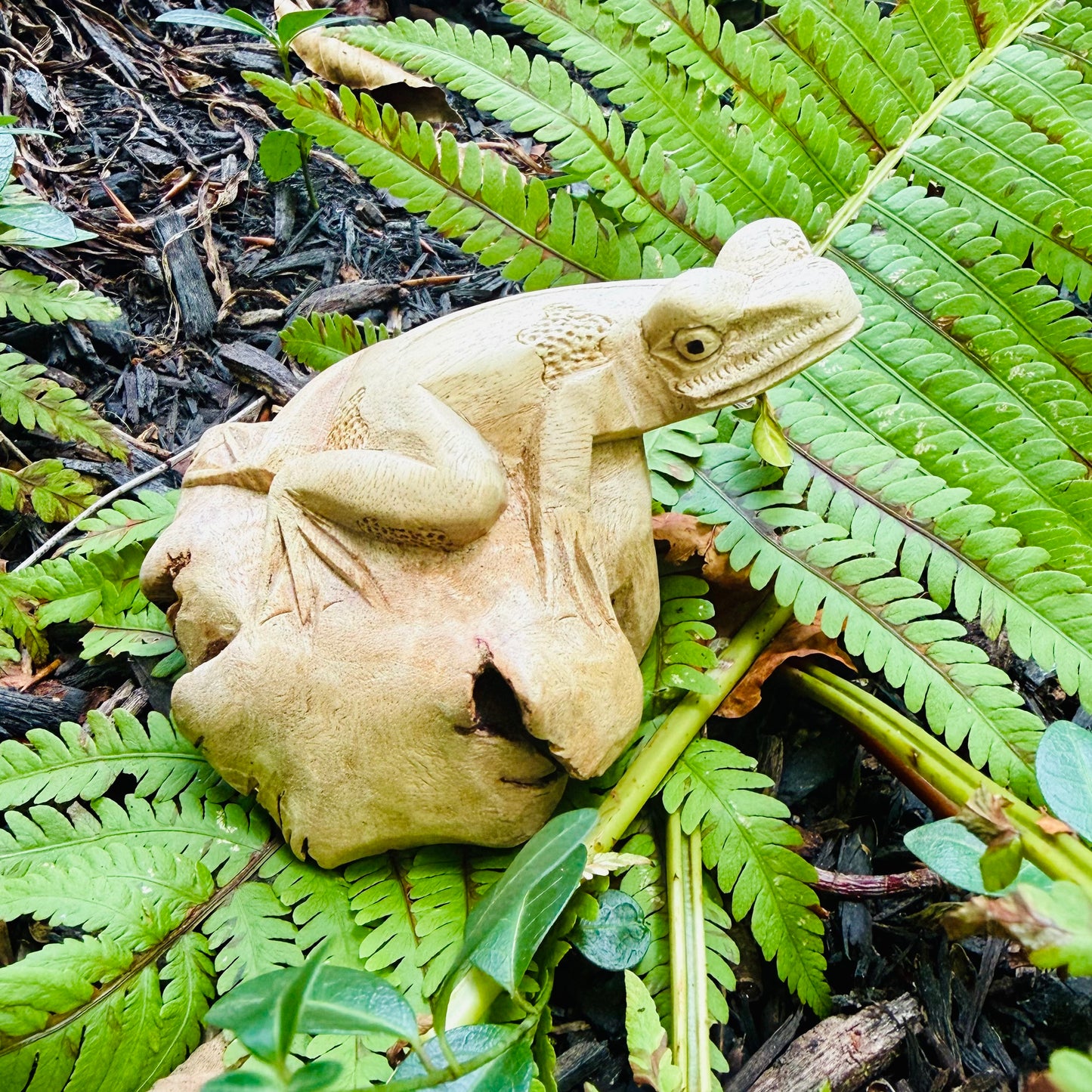 Hand-Carved Frog - Parasite Wood Sculpture