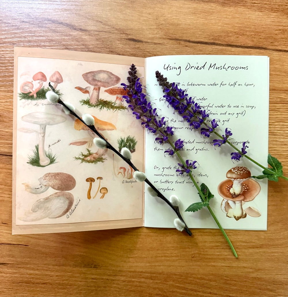 Stormswift’s Jottings - Recipe Booklet