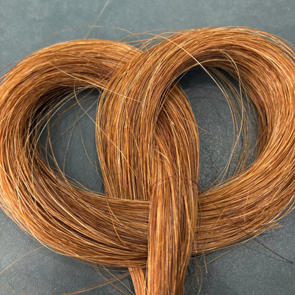 Lock of Horse Hair - Oddment