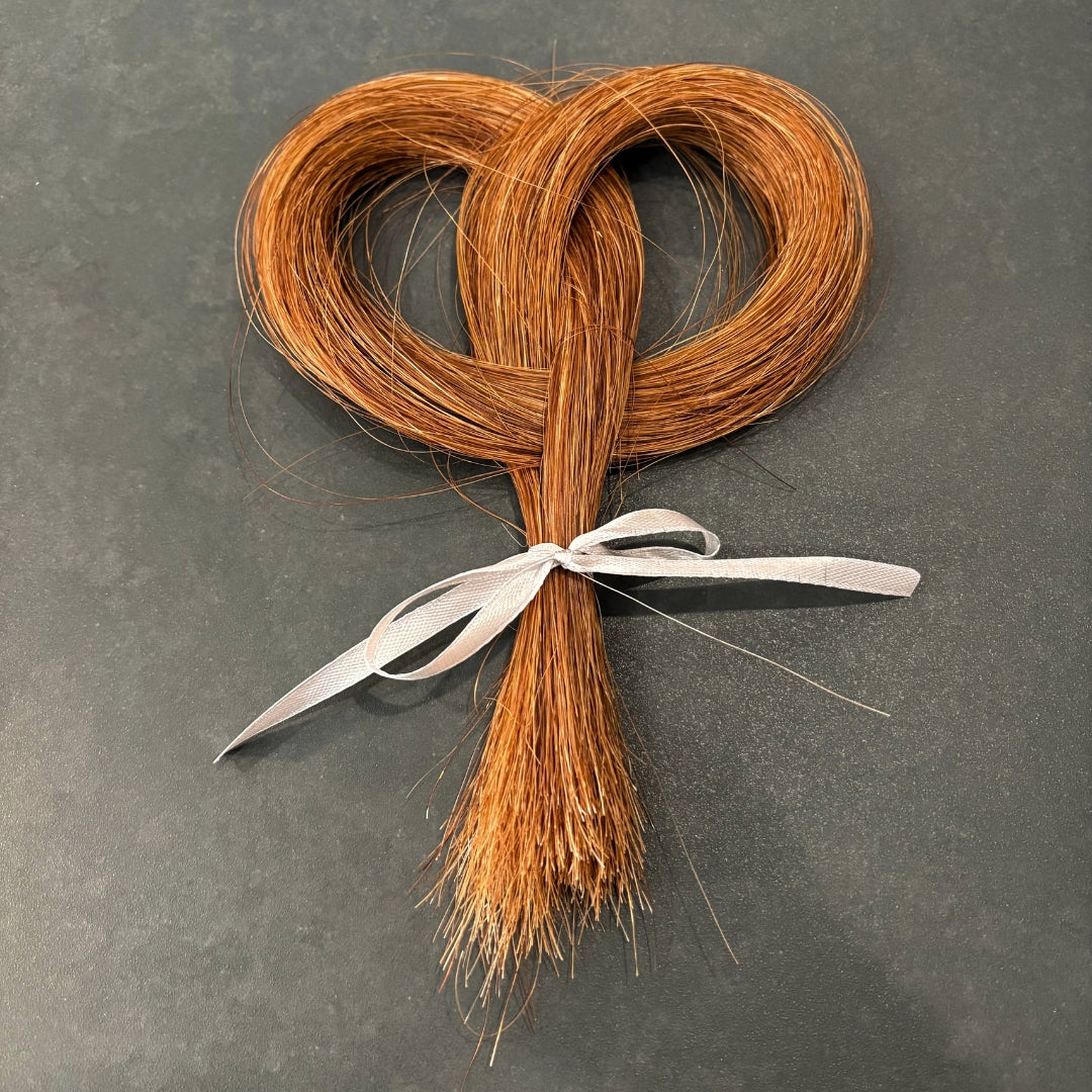 Lock of Horse Hair - Oddment