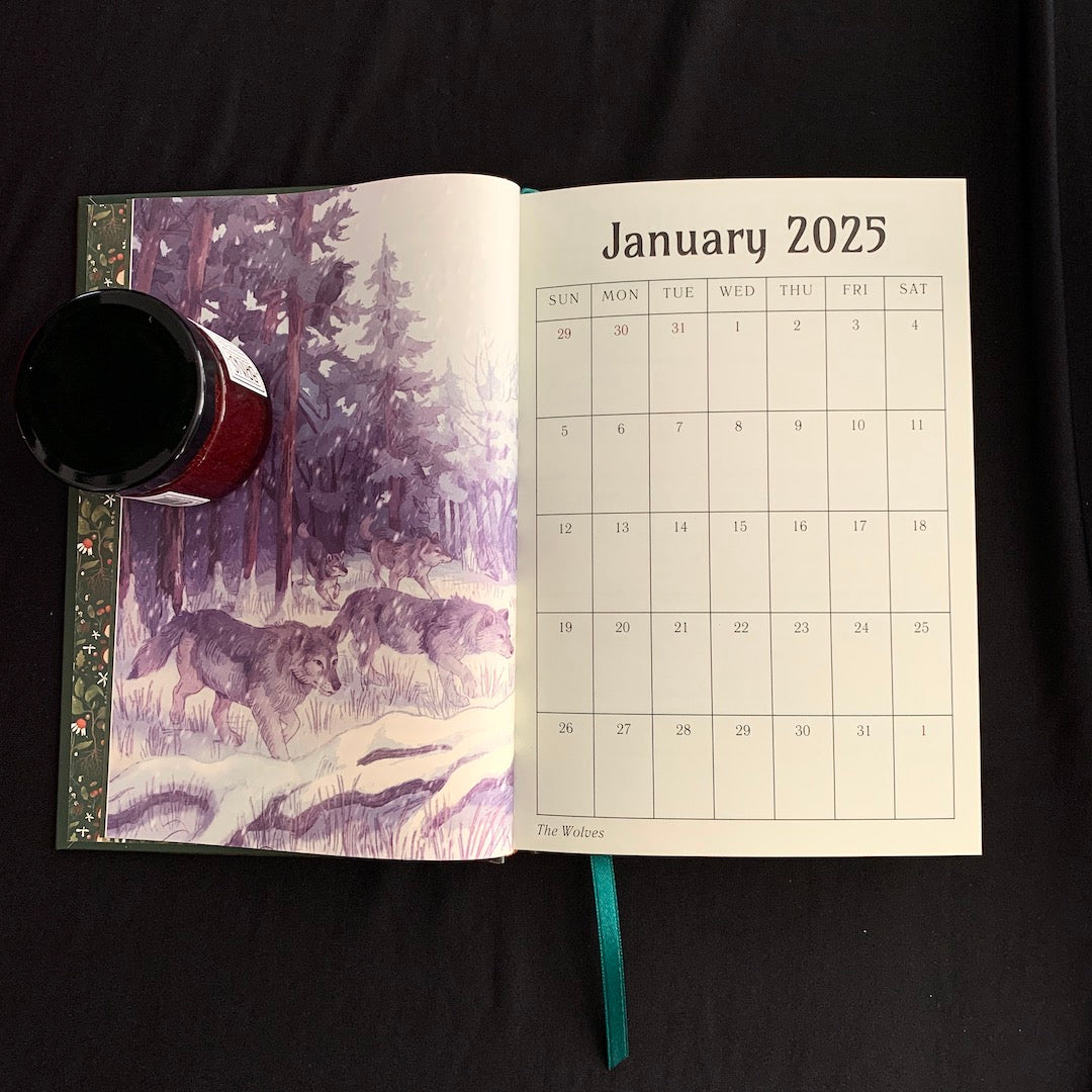 The Book of Days - 2025 Planner