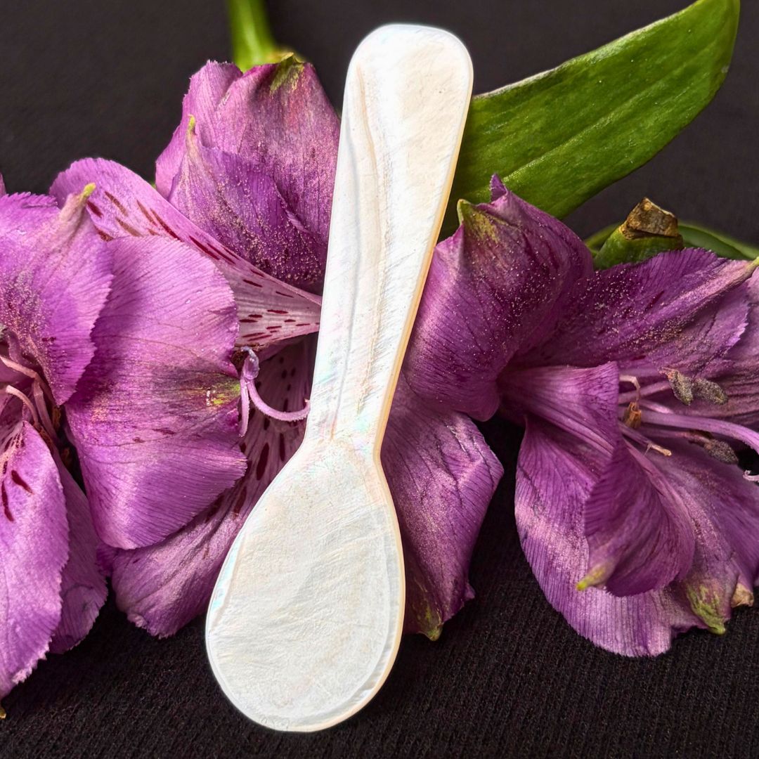 Mother of Pearl Condiment Spoon Set of 4 - Oddment