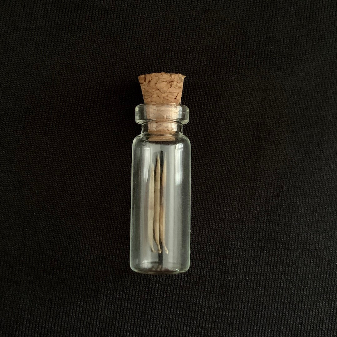 Hedgehog Quills - Oddment