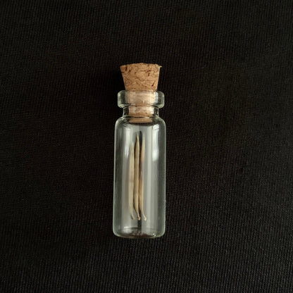 Hedgehog Quills - Oddment