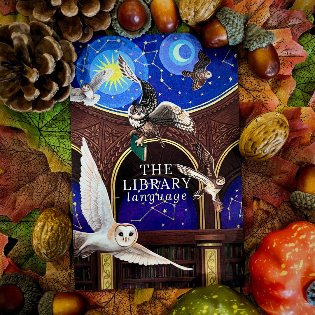 The Library - One-Time Box Purchase