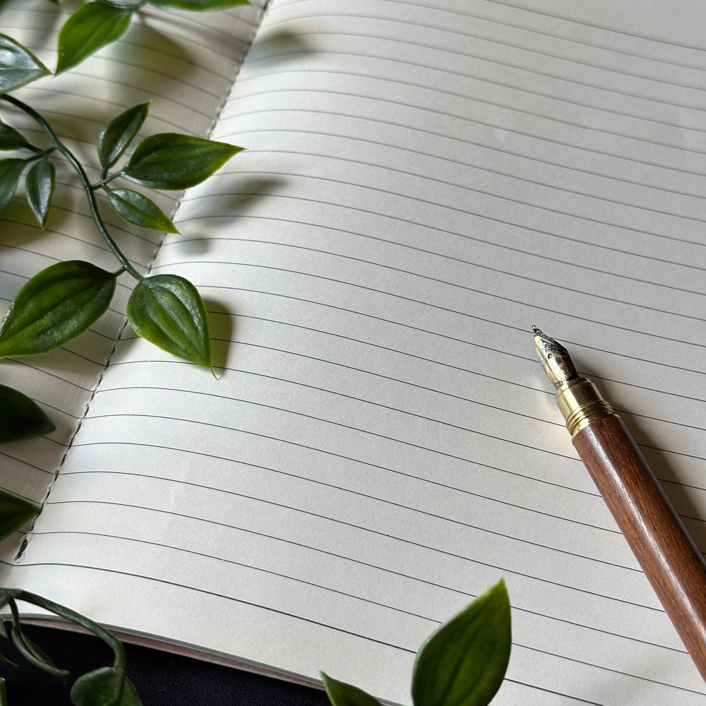 Notes from the Fern Grove - Notebooks with Mushrooms and Insects