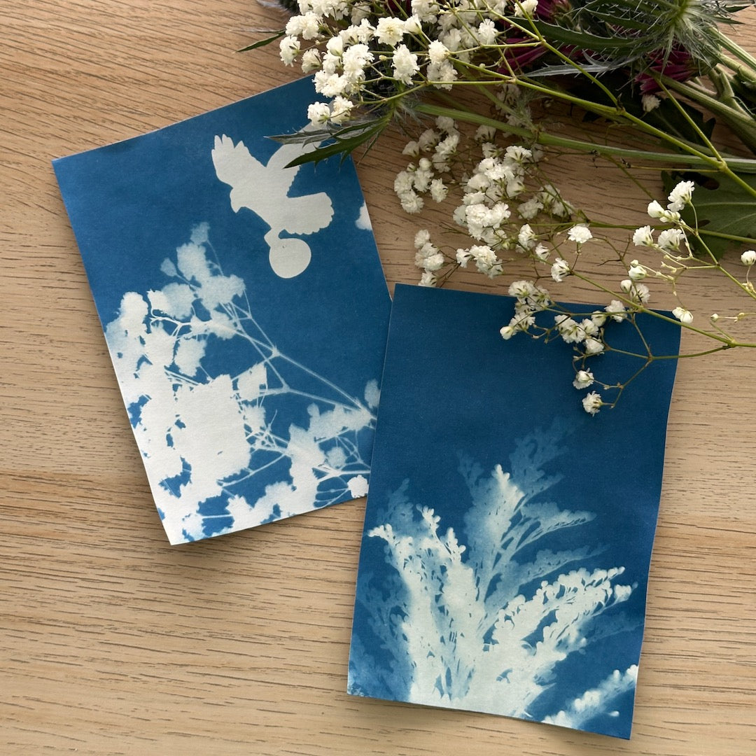 Luminogram Kit - Cyanotype Paper