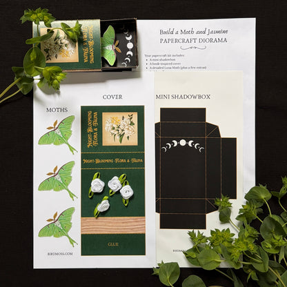 Book of Blooms - Luna Moth and Jasmine Papercraft Diorama Kit