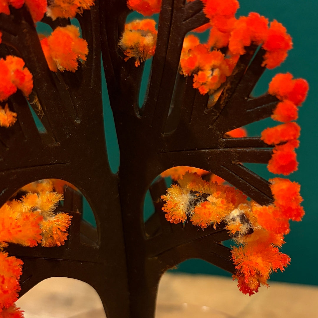 Flame-Colored Maple Tree - Crystal-Growing Kit