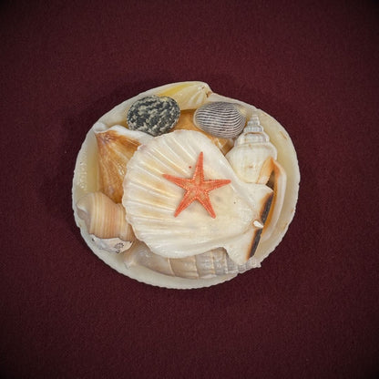 Mermaid Treasure - Oddment