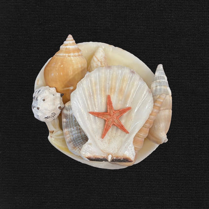 Mermaid Treasure - Oddment