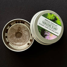 Load image into Gallery viewer, The Ferns Respond - Sensitive Plant Kit
