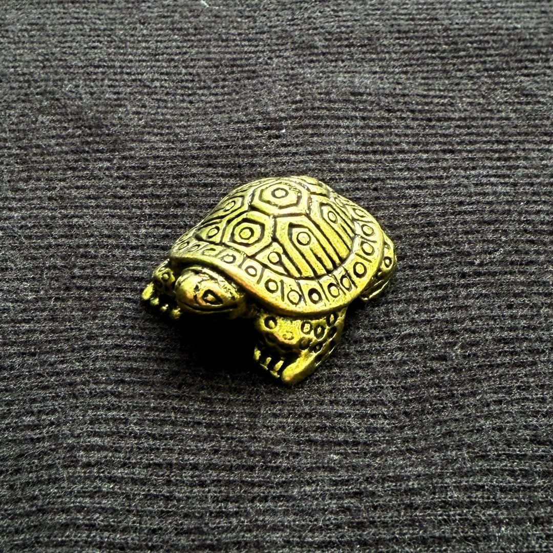 Brass Snapping Turtle - Oddment