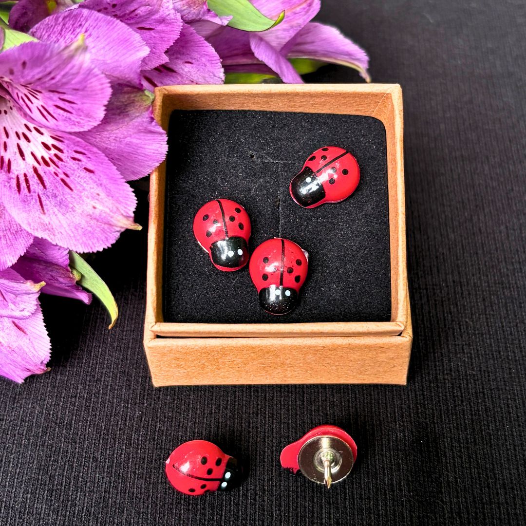 Ladybug Pushpin Set of 5 - Oddment