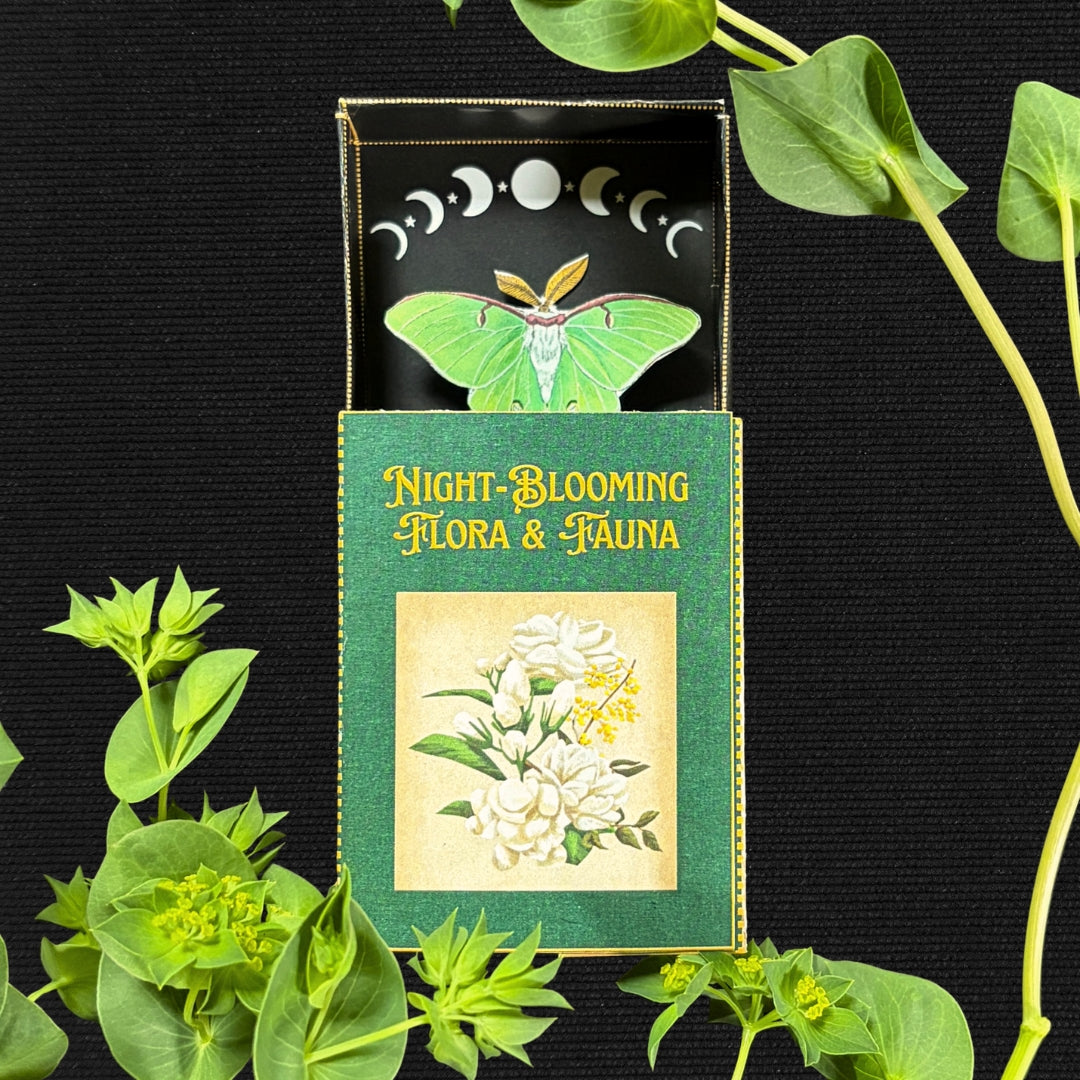 The Luna Moths - One-Time Box Purchase