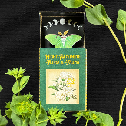 The Luna Moths - One-Time Box Purchase