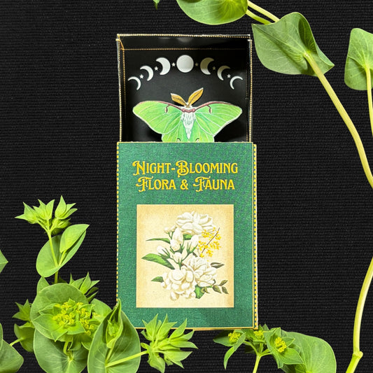 Book of Blooms - Luna Moth and Jasmine Papercraft Diorama Kit