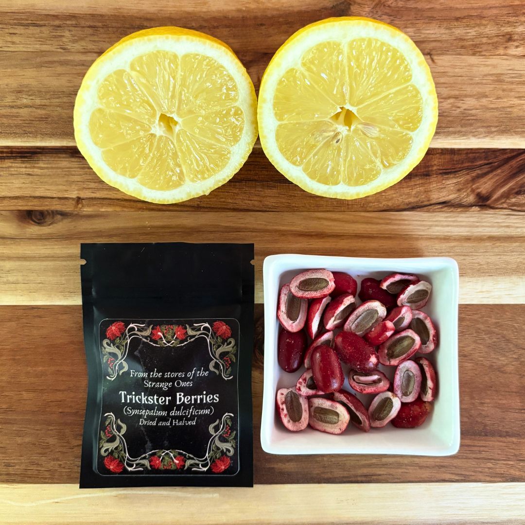 Trickster Berries - Dried Miracle Fruit