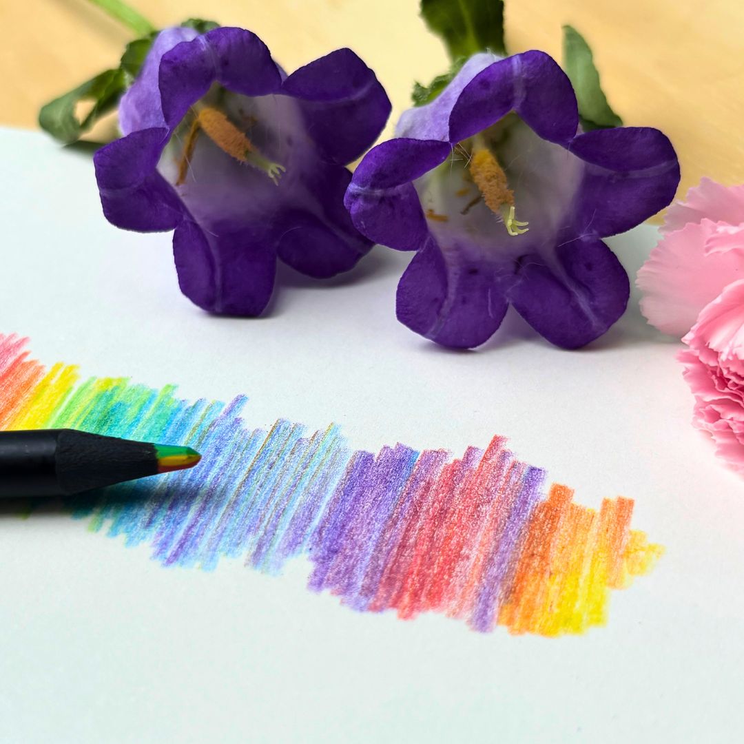 Instrument of Iris - Rainbow Pencil
