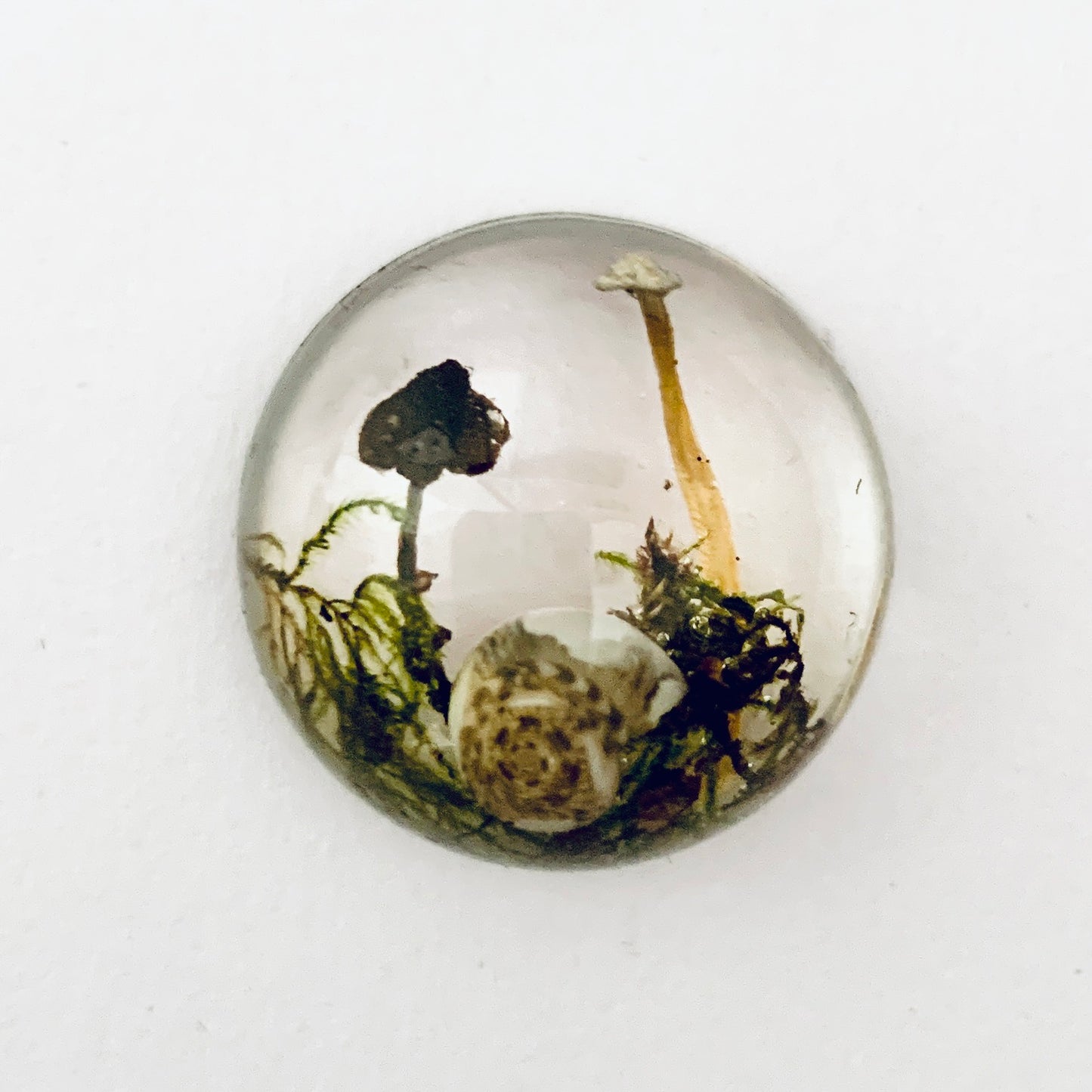 Mushroom Cabochon - The Forest, Frozen in Time