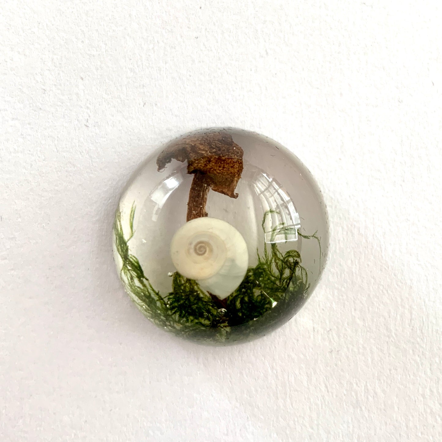 Mushroom Cabochon - The Forest, Frozen in Time