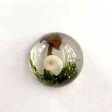 Load image into Gallery viewer, Mushroom Cabochon - The Forest, Frozen in Time
