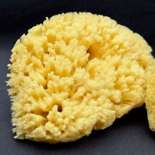 Load image into Gallery viewer, Natural Sea Sponge - Luxury Bath Accessory
