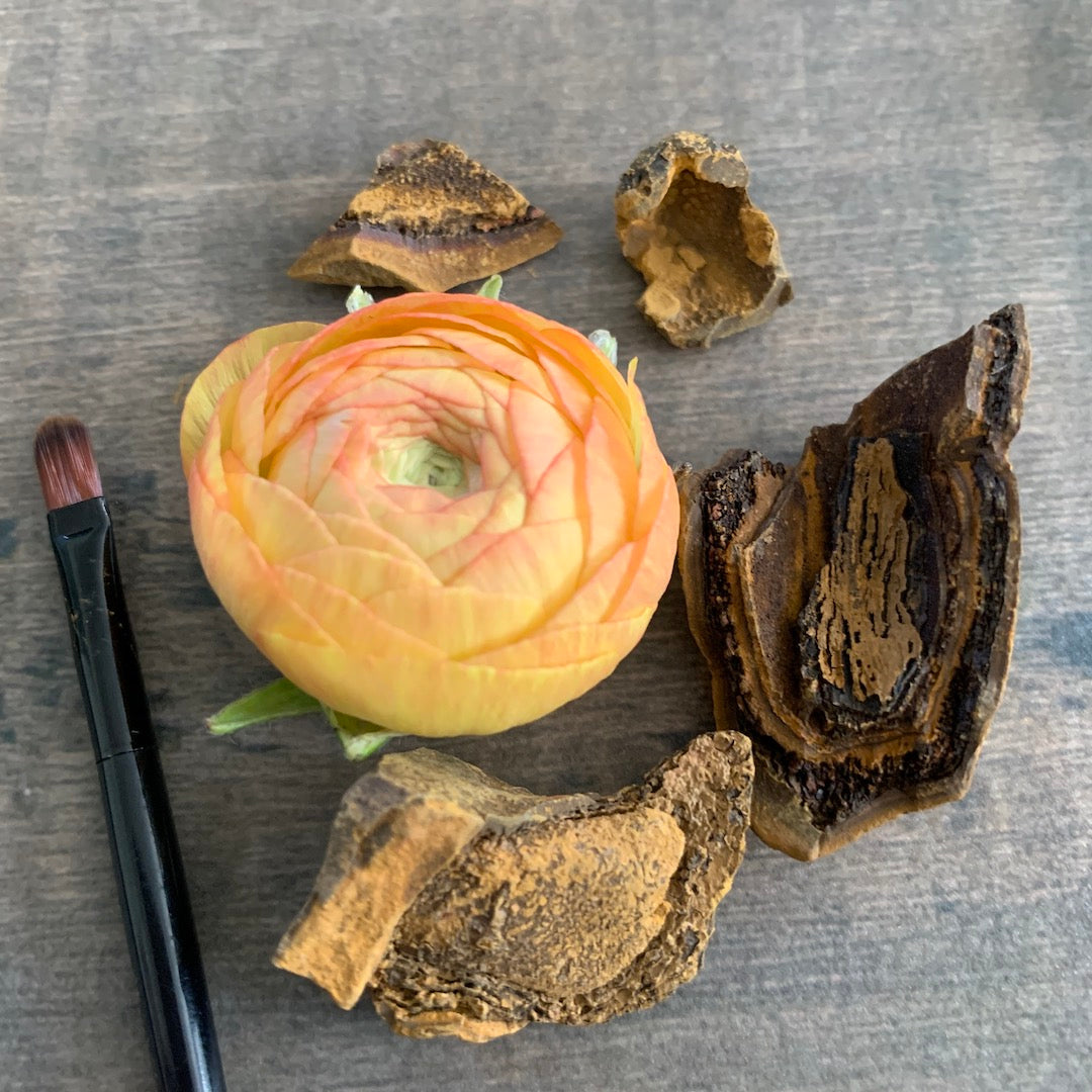 Paint of the Earth - Ochre Rock Mineral Pigment Paint - Oddment