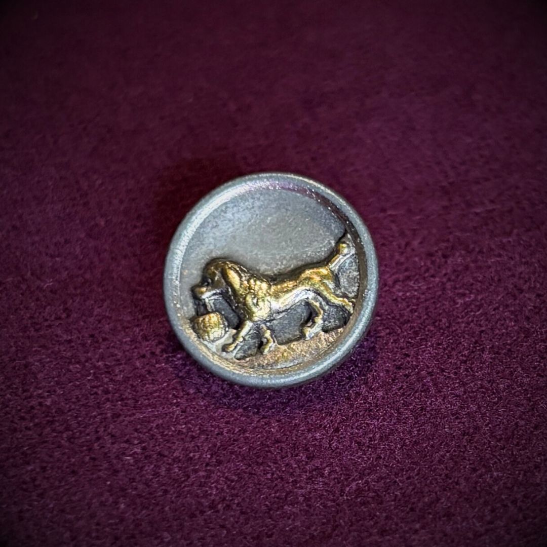 Family Heirloom - Antique Button