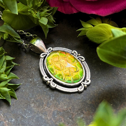 Birdmoss Box Monthly Subscription