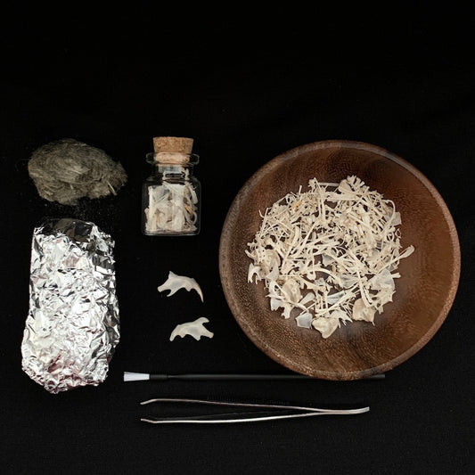 Owl Pellet Dissection Kit