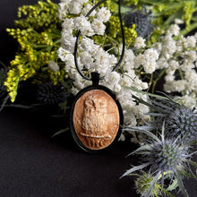 Load image into Gallery viewer, Watchful Owl - Gypsum Pendant
